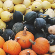 Pumpkins and squashes at harvest time